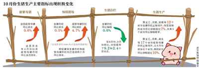 全国生猪生产进入止降回升转折期