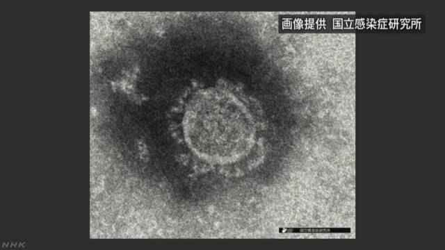 日本国内确诊新冠肺炎510例死亡9例 累计确诊1220人