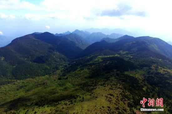 资料图：鸟瞰武夷山国家自然保护区。王东明 摄