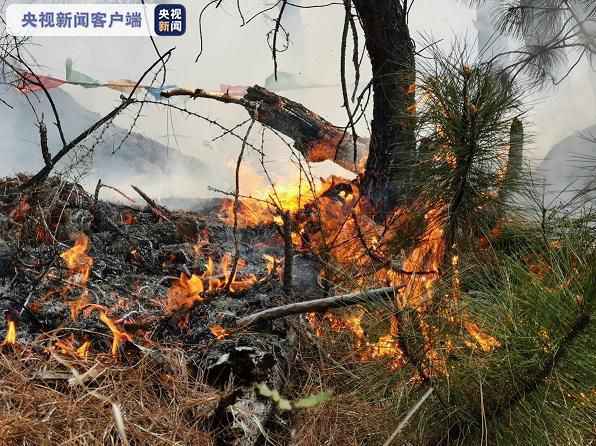 西藏林芝市巴宜区发生山火 三百多消防员正参与