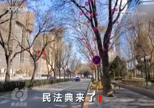 焦点访谈：这部民法典，每一项都与你有关