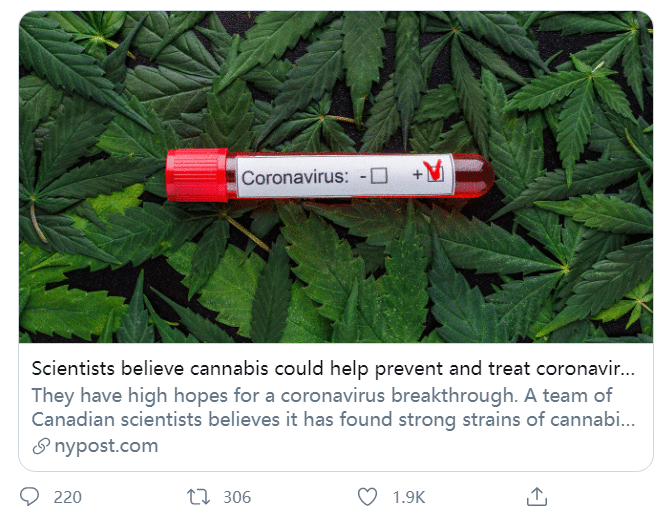 “大麻能防治新冠病毒”？分析人士：或因商业