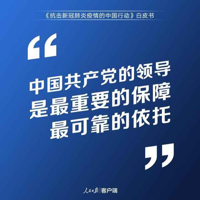 中国答卷!3.7万字重磅白皮书发布