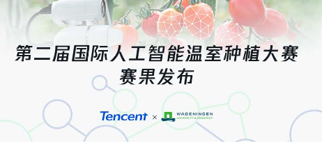 腾讯AI种番茄双丰收 参赛AI全胜专家 辽宁试点净