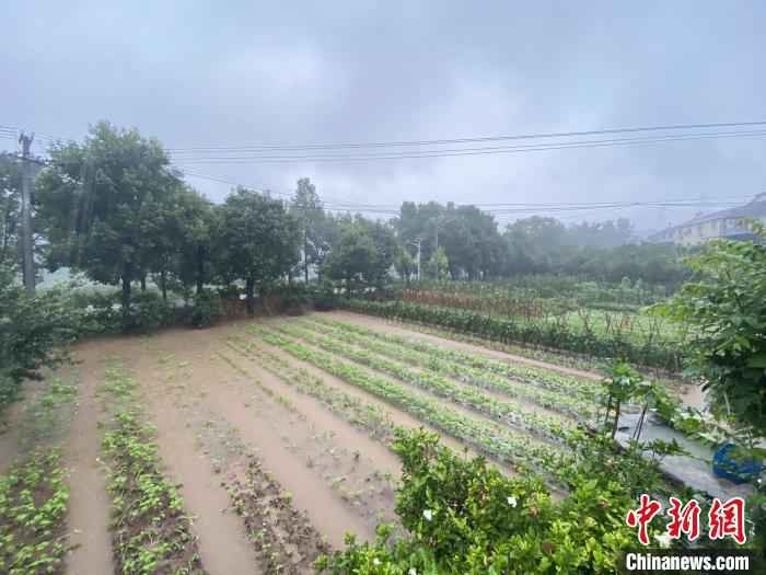 宜昌遭遇强降雨 多方力量投入抗洪排险（图）