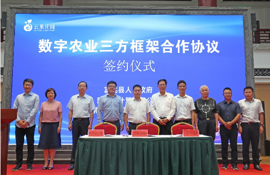 云南水果上“云” 阿里云和云南水果之乡富民县