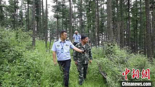 山西省林业和草原局要求，加强联防联护，依法严厉打击野外违规用火行为。山西省林业和草原局供图