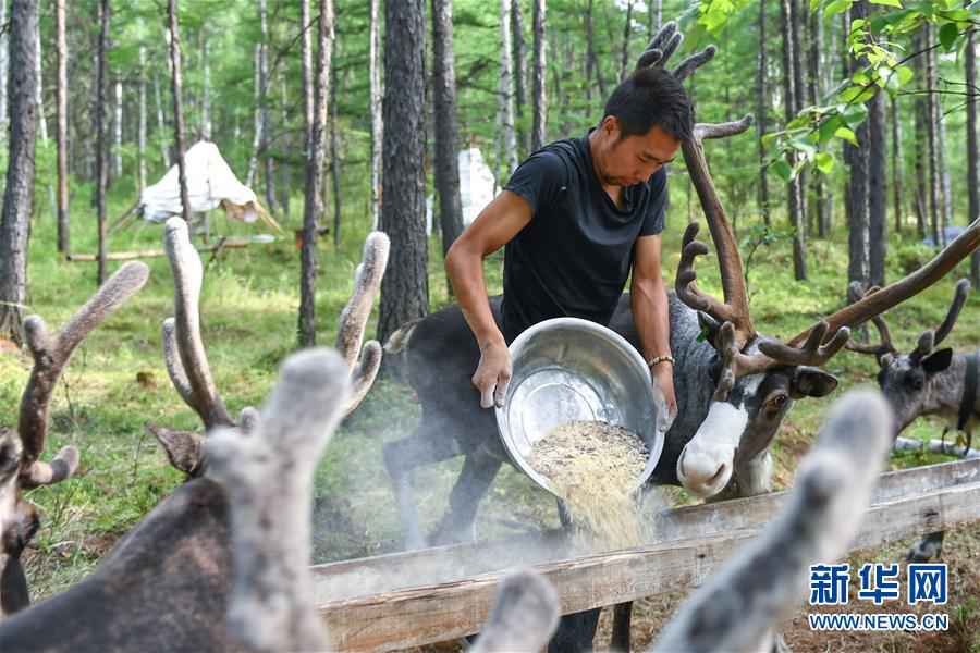 走向我们的小康生活｜走出山林奔小康