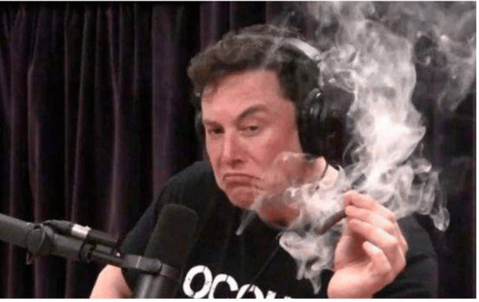 国产特斯拉Model 3出口海外，国内“韭菜”又不淡