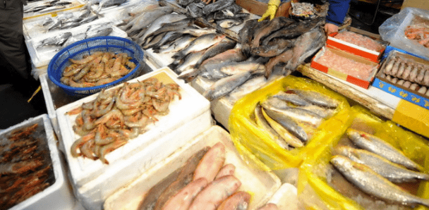 “北京市冷链食品追溯平台”开始运行，不具备