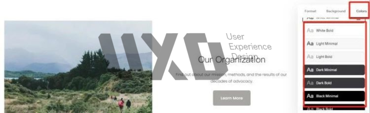 UXD带你全面解锁Squarespace，经过实测这是最好用的