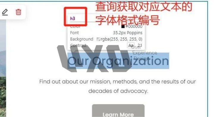 UXD带你全面解锁Squarespace，经过实测这是最好用的