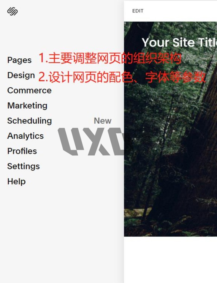 UXD带你全面解锁Squarespace，经过实测这是最好用的