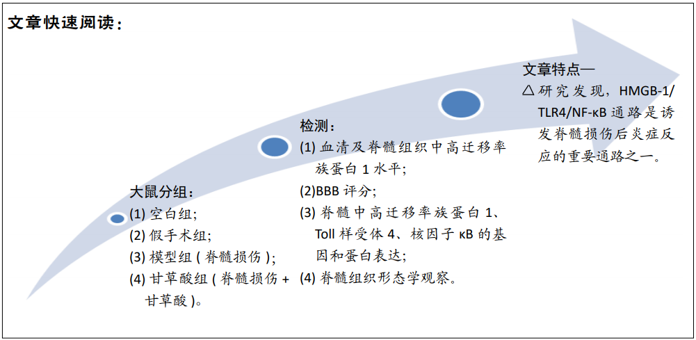 诱导急性脊髓损伤模型大鼠炎症反应信号通路的