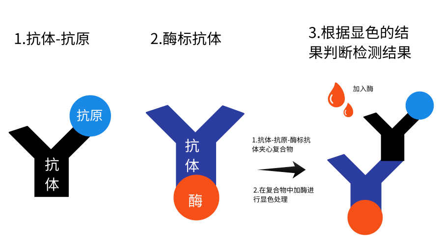 D-二聚体，6大方法方法学，哪个更好？