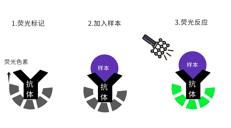 D-二聚体，6大方法方法学，哪个更好？