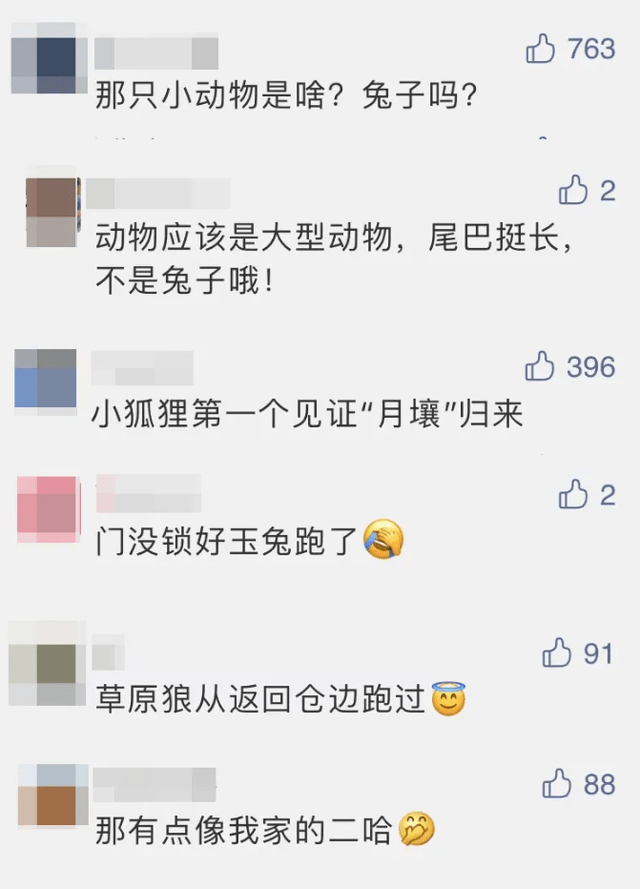 真的是“玉兔”接“嫦娥”？搜索队员：它其实